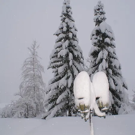 Drexel إلبيغنالب