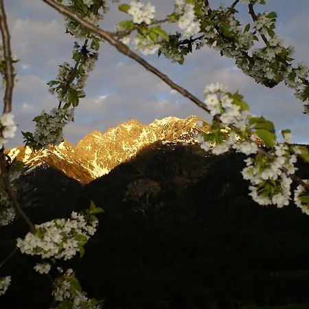 Drexel شقة إلبيغنالب