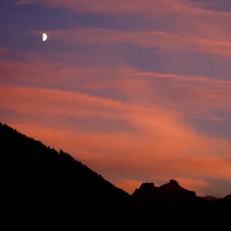 Drexel אלביגנאלפ