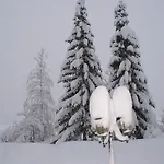 Drexel Elbigenalp