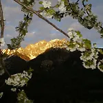 Drexel Daire Elbigenalp